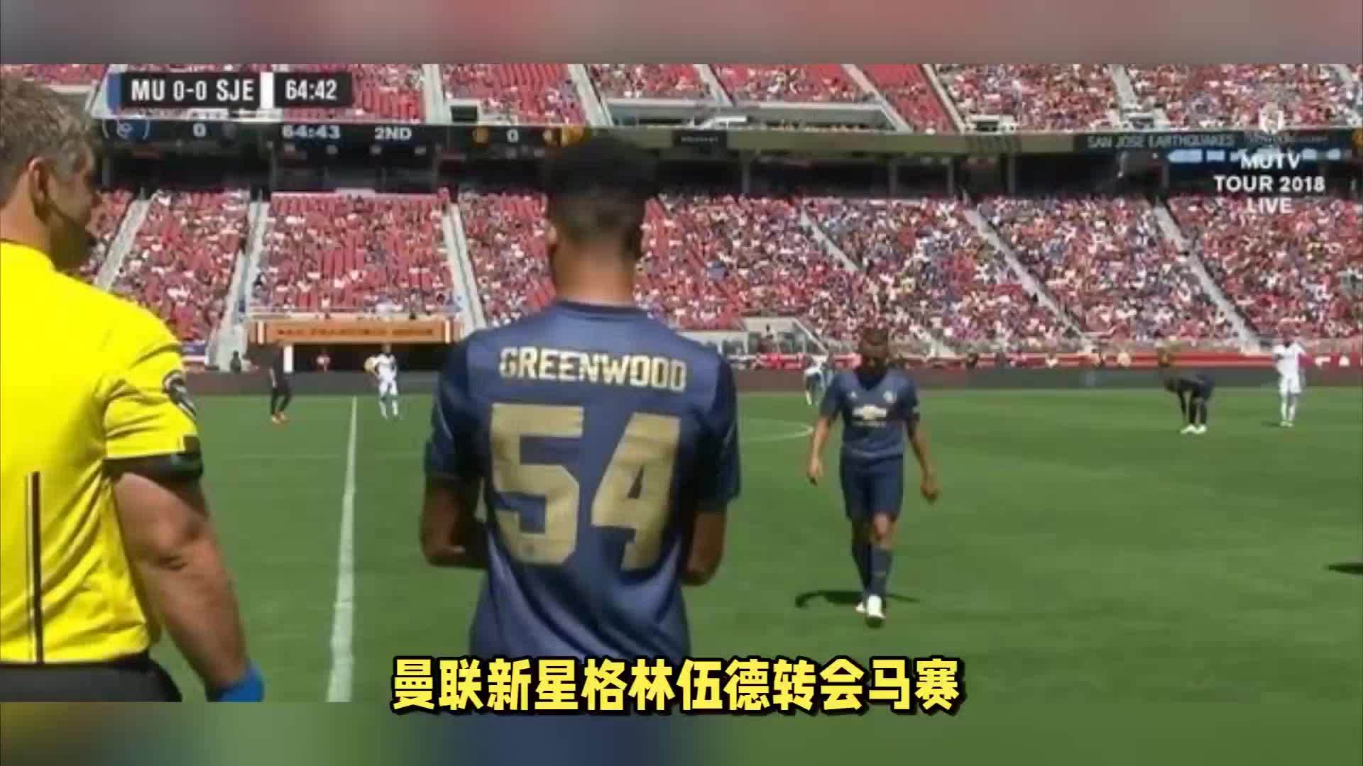 國內
